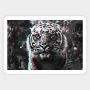 Trippy Tiger Sticker